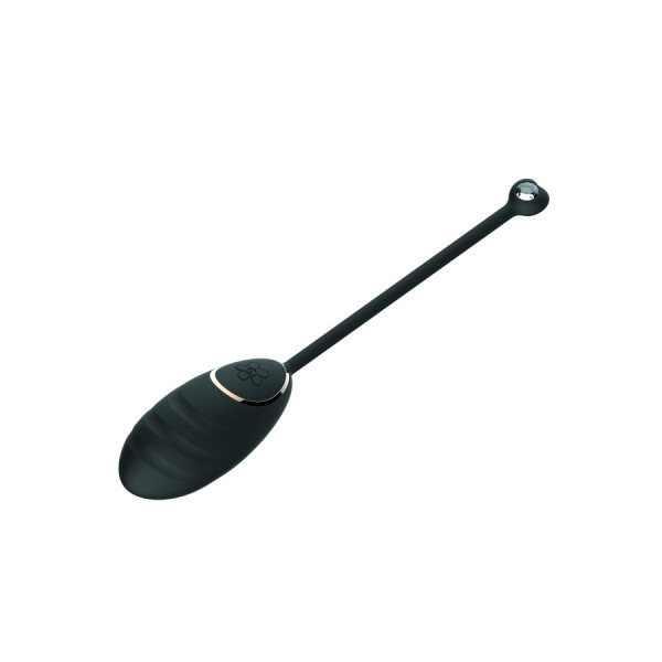 Œuf vibrant noir avec télécommande USB 
